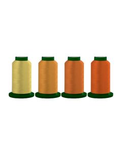 Exquisite Embroidery Thread Quartets Majestic Sunset Thread Set - 33, 3001, 649, & 134