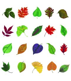 DIME Inspirations Collection Embroidery Designs #12 Leaves of Wonder