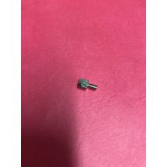 Janome Replacement Screw for Convertible Freemotion Foot