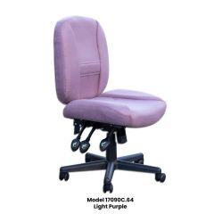 Horn of America 17090 Deluxe 6 Way Adjustable Chair in Light Purple