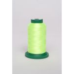 Exquisite Spring Green Embroidery Thread 21 - 1000m