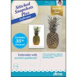 Stitched Snapshots Plus 